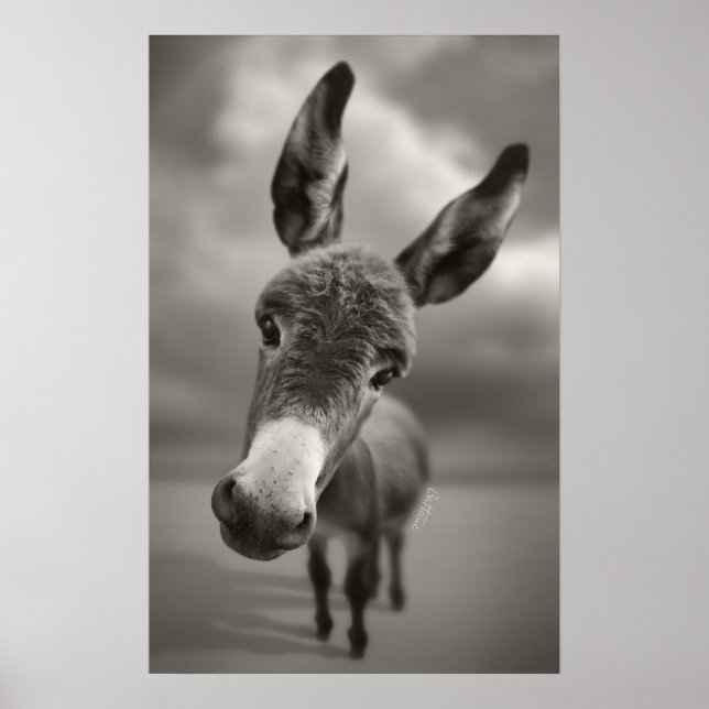 Poster Olá. (Frente)