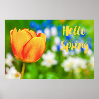 Poster Olá, Primavera!