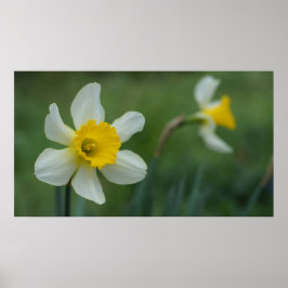 Poster Olá, Primavera!