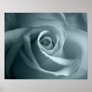 Poster Olá Rosa