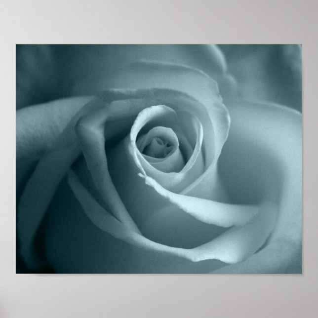 Poster Olá Rosa (Frente)