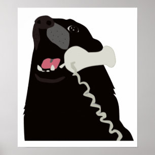 Póster OLÁ! SIM ESTE É telefone do telefone do CÃO