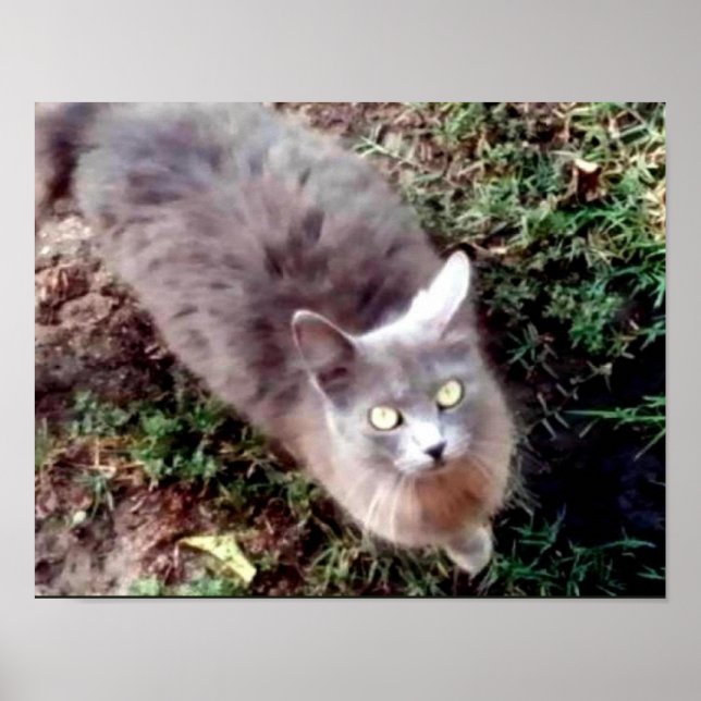 Póster Olá, Você Pode Me Ouvir? (Frente)