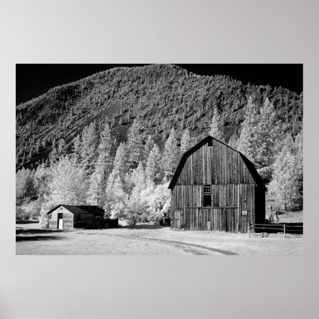 Póster Old Barn (Frente)