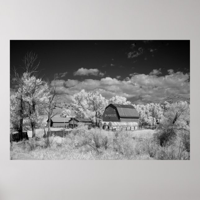 Póster Old Barn (Frente)