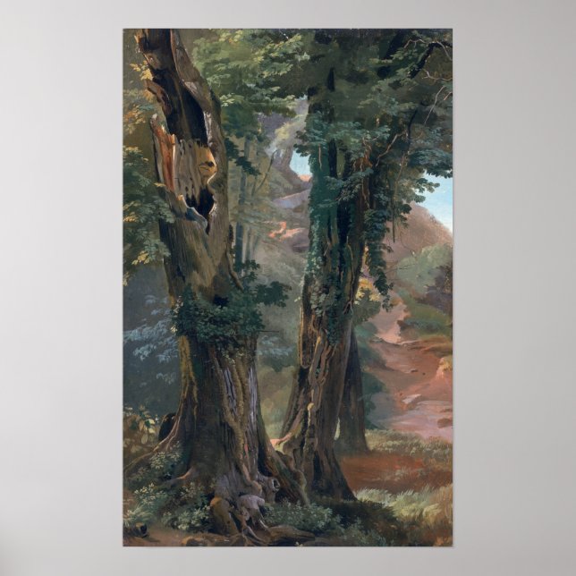 Póster Old Elms, c.1835 (Frente)