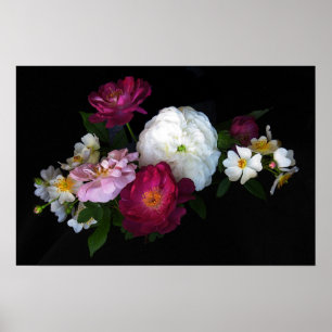 Poster Old fashioned Roses