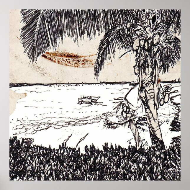 Poster Old Paper Coconut Tree, Bahamas (Frente)