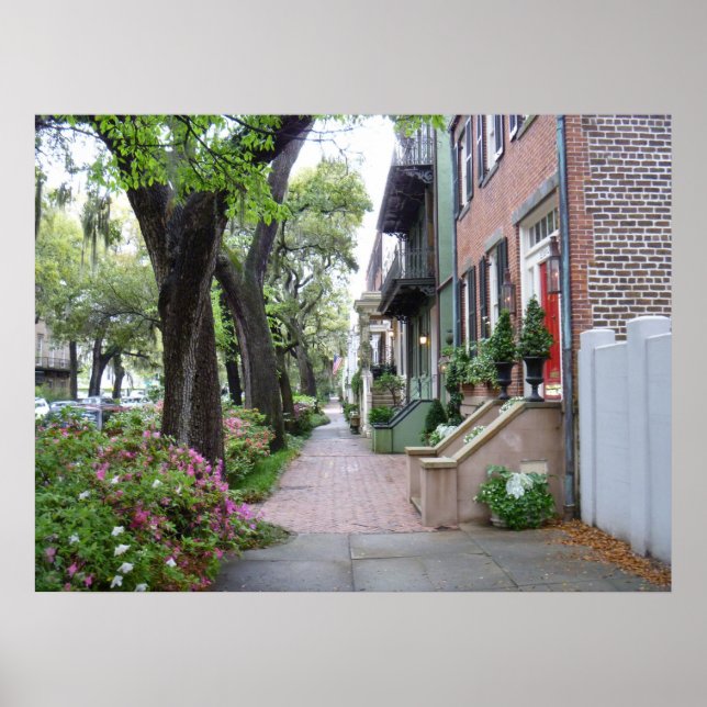 Póster Old Savannah (Frente)