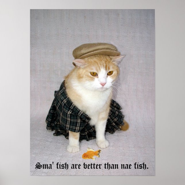 Póster Old Scottish Fold Say (Frente)
