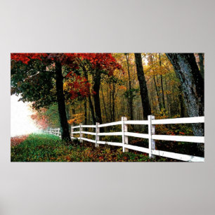 Poster óleo 4b detalhado