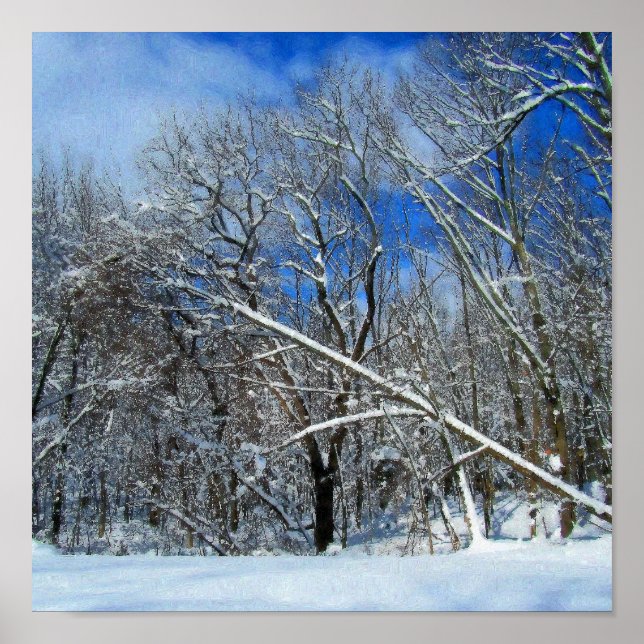 Póster Óleo De Tempestade De Inverno (Frente)