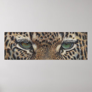 Poster olhais-leopardo-pantero