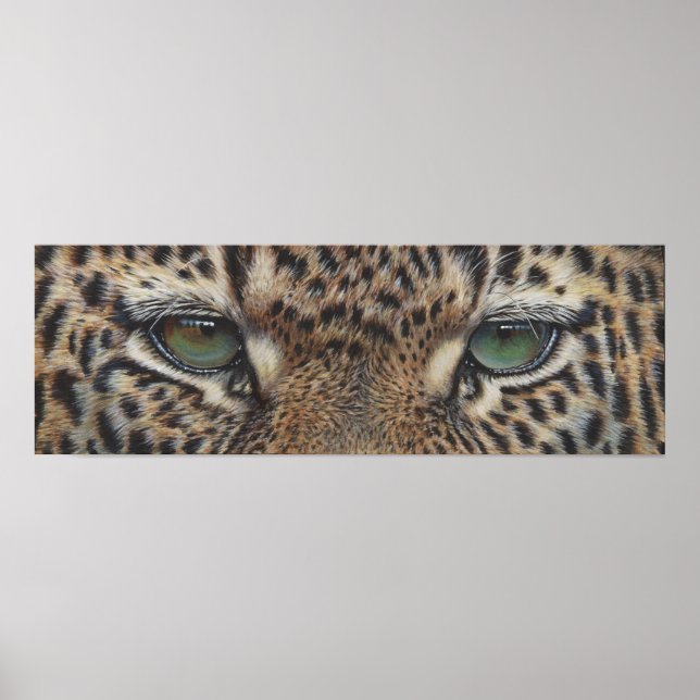 Poster olhais-leopardo-pantero (Frente)