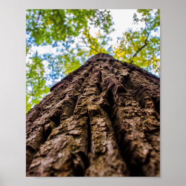 Poster Olhando para Cima (Frente)