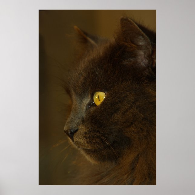 Póster Olhando para fora (Frente)