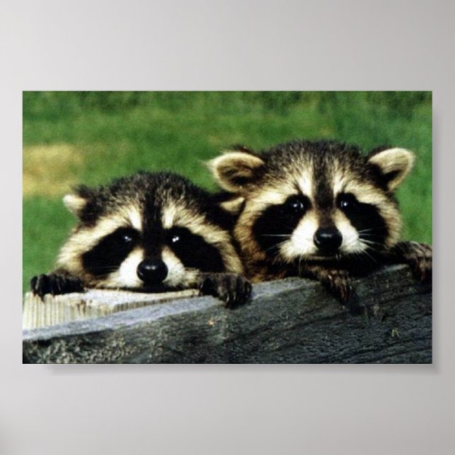 Poster olhando para você (Frente)