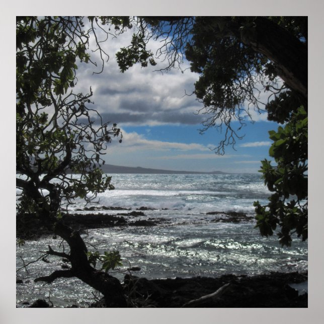 Poster Olhando Pela Janela (Frente)