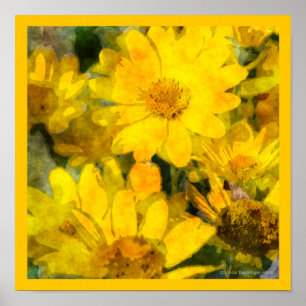 Póster Olhar amarelo da aguarela das flores da margarida