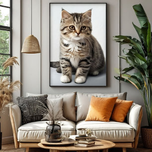 Poster Olhar de Gato Perdido no Tempo