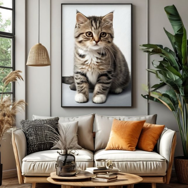 Poster Olhar de Gato Perdido no Tempo (Criador carregado)