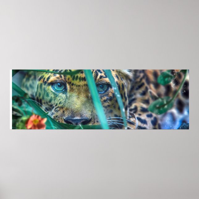 POSTER OLHAR DE OLHOS VERDES DO LEOPARDO (Frente)