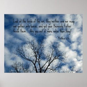 Póster Olhar do 6:26 de Matthew nos pássaros do ar…