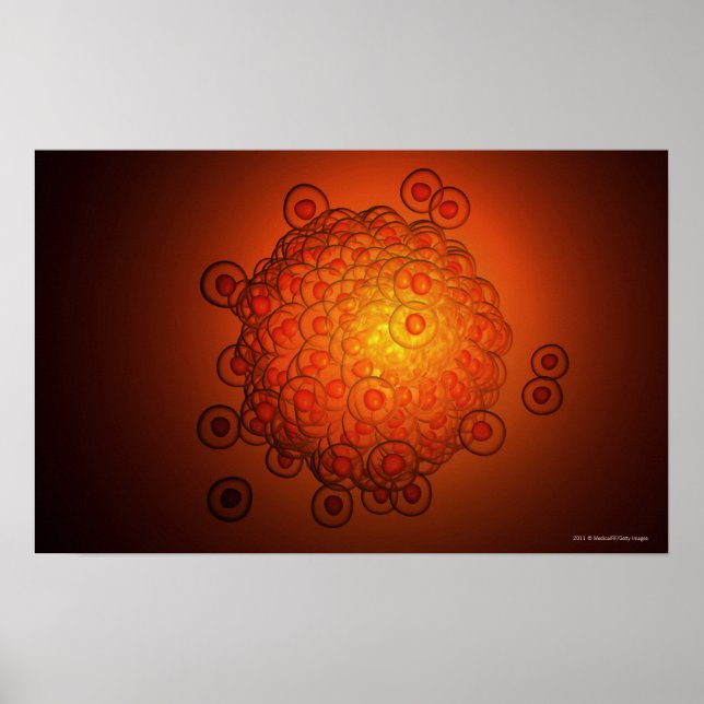 Póster Olhar magnificamente um óvulo (Frente)