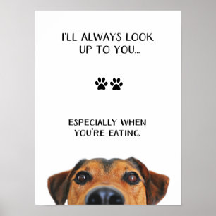 Poster Olhe-lhe acima a mensagem engraçada do cão