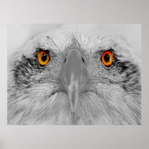 Poster Olhe nos meus olhos
