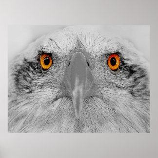 Poster Olhe nos meus olhos