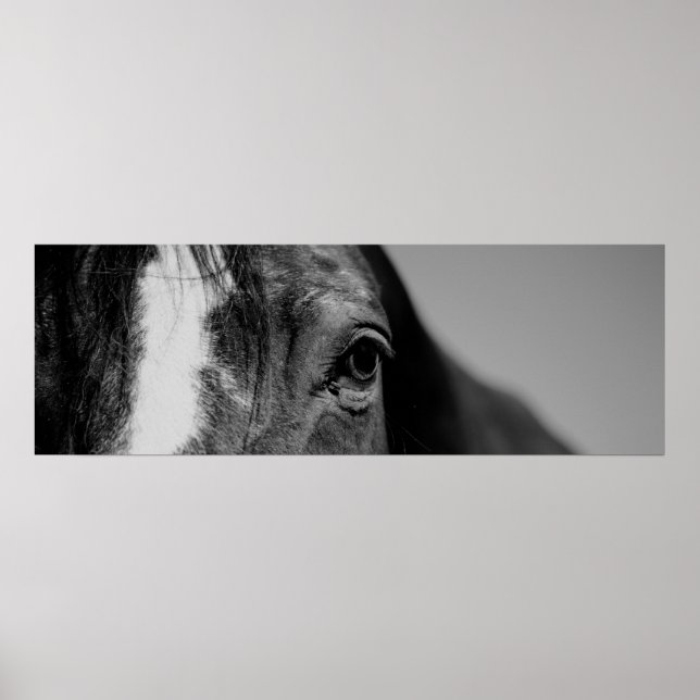 Póster Olho de Cavalo Preto e Branco Fechado (Frente)