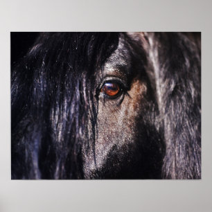 Poster Olho do cavalo