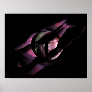 Poster Olho do Dragão Rasgar