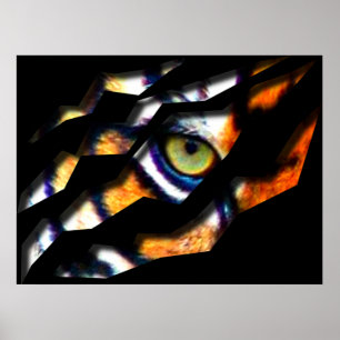 Poster Olho Do Lágrima Do Tigre