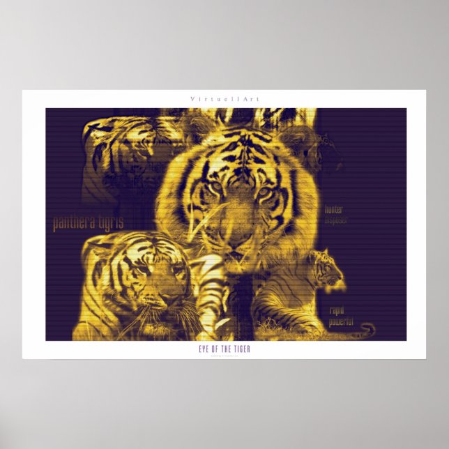 Poster Olho do Tigre (Frente)
