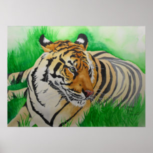 Poster Olho do Tigress