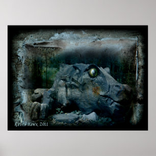 Póster Olho Dragão