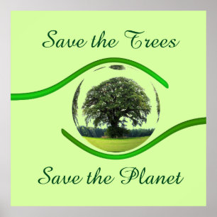 Póster Olho na ecologia