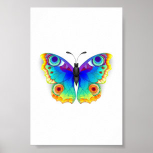 Poster Olho Peacock da Borboleta Arco-Íris