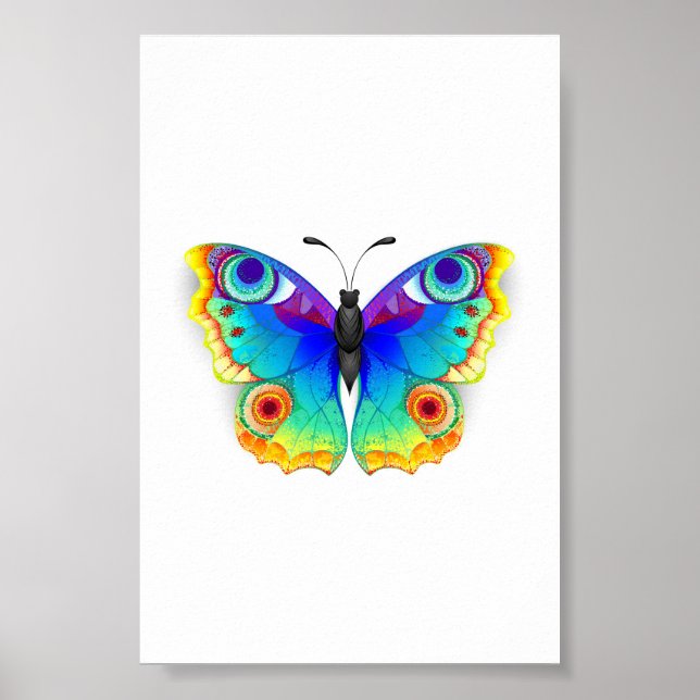 Poster Olho Peacock da Borboleta Arco-Íris (Frente)