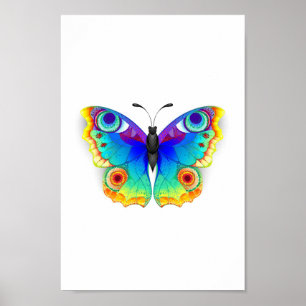 Poster Olho Peacock da Borboleta Arco-Íris