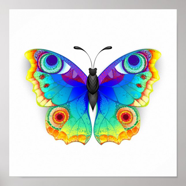Poster Olho Peacock da Borboleta Arco-Íris (Frente)