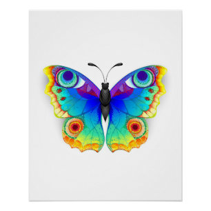 Póster Olho Peacock da Borboleta Arco-Íris