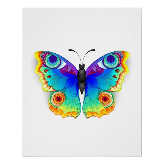 Póster Olho Peacock da Borboleta Arco-Íris (Frente)