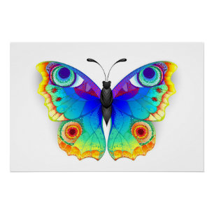 Póster Olho Peacock da Borboleta Arco-Íris