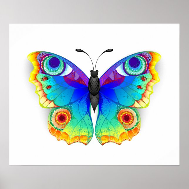 Poster Olho Peacock da Borboleta Arco-Íris (Frente)