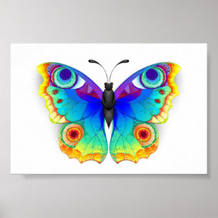 Poster Olho Peacock da Borboleta Arco-Íris