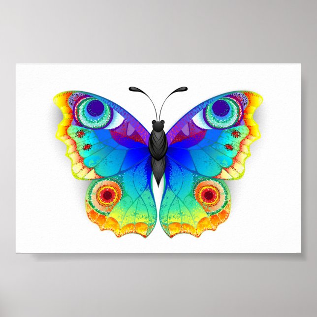 Poster Olho Peacock da Borboleta Arco-Íris (Frente)