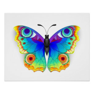 Póster Olho Peacock da Borboleta Arco-Íris